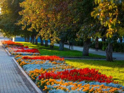 В Челябинске уберут цветы с клумб