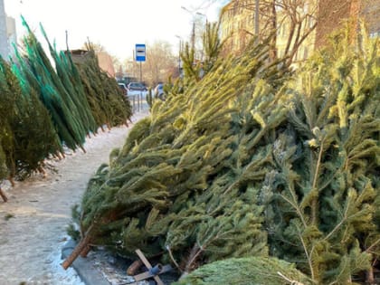 Чем жила Челябинская область: главные новости недели с 12 по 18 декабря