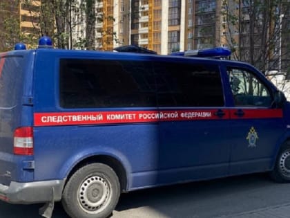 В Челябинской области 16-летний подросток до смерти избил пьяную мать