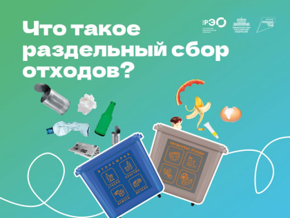 Хотите узнать больше о том, как сохранить нашу планету, и получить полезные советы и инструкции по раздельному сбору отходов?