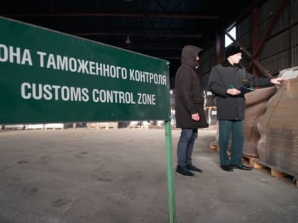 Челябинские таможенники за год изъяли свыше 14 тысяч единиц контрафакта