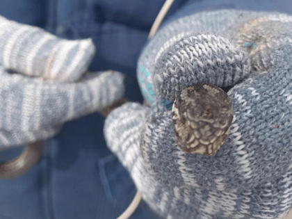 Таят в себе серьёзную опасность