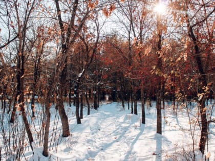 Окончание недели будет тёплым