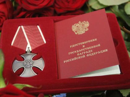 За проявленную отвагу