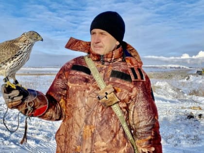 Отпугивает чаек и ворон: на магнитогорском полигоне для ТКО появился специально обученный ястреб