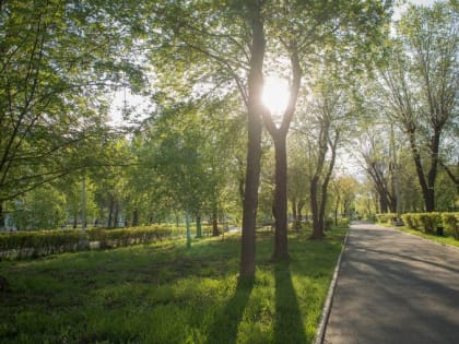 Прогноз погоды на понедельник