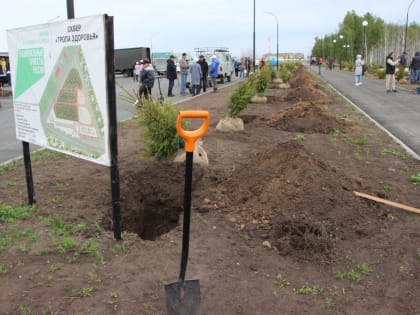 Сегодня в Варне прошла «зелёная» акция