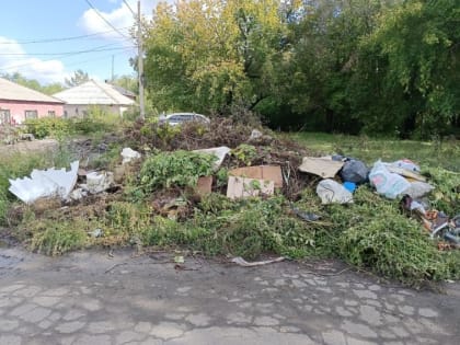 Магнитогорцы пожаловались на незаконную свалку