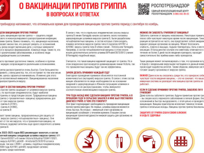 7 вопросов о гриппе