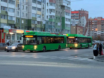 Власти заявили об увеличении количества автобусов в Челябинске
