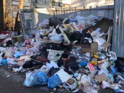 Мэр Челябинска нашла виновных в мусорном коллапсе на северо-западе города