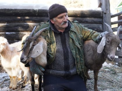 Человек труда. На подворье Раиса Тагирова, кругом живность