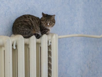 Челябинцы пожаловались на холодные батареи в квартирах