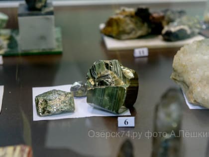 В музее открылась  минералогическая выставка