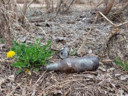 Челябинцев 16 и 17 сентября пригласили на «Чистые игры» вокруг Изумрудного карьера