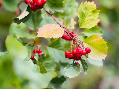 Прогноз погоды на выходные дни