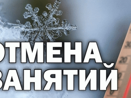 В Троицке из-за мороза отменены уроки для 1-7 классов