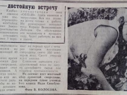 А помнишь сад?..