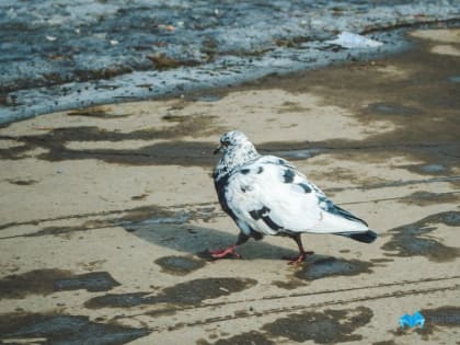 В Магнитогорске ожидается потепление