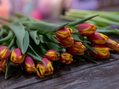 Цветочная арифметика перед восьмым марта