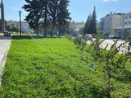 Новые контуры старого сквера