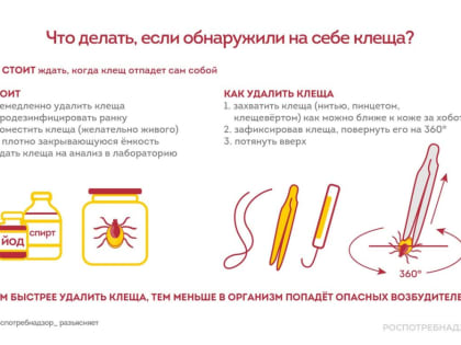 От укусов клещей с начала сезона пострадали 379 человек