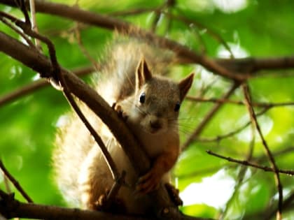 В Челябинскую область поступила порция северного воздуха