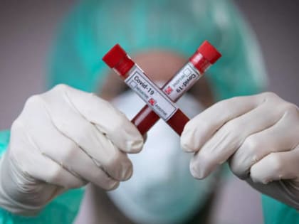 Перевод всех школьников области на дистанционный режим обучения пока не планируется