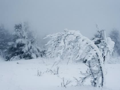 Взрослые с 10-летним ребенком потерялись в лесах Саткинского района