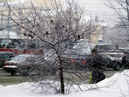 В пятницу в Челябинской области температура повысится, давление понизится, ветер усилится