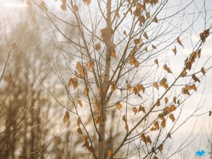 Магнитогорцам пообещали снег в конце недели