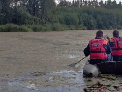 Житель Кыштыма утонул на озере Коноплянка