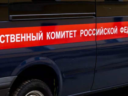 Стали известны подробности убийства 10-летней девочки в Челябинске