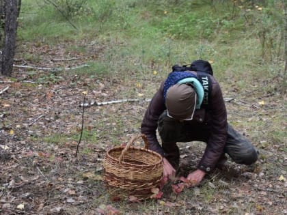 Активность клещей в лесах Челябинской области выросла вдвое