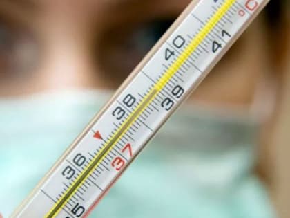 Эпидпорог по ОРВИ в Челябинской области превышен на 44%