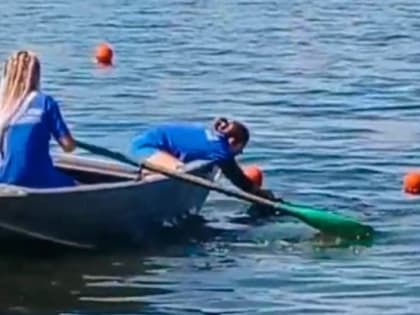 В Челябинске спасли овцу, которая тонула в Шершнёвском водохранилище