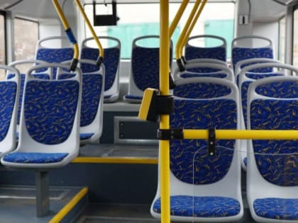 Магнитогорцам напомнили о штрафах за проезд зайцем