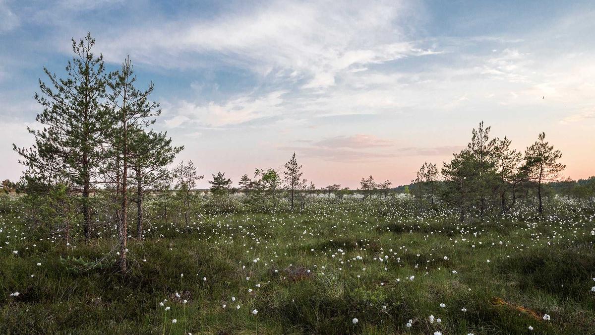 The Real Estate Landscape: Navigating Business Opportunities and Challenges