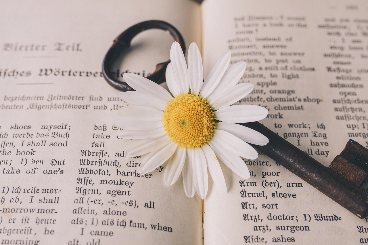 Best Online Certified Translation Services