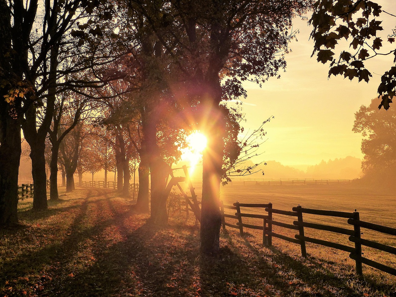 Inner Peace in Golden Years: Exploring the Benefits of Spiritual Practices for Seniors