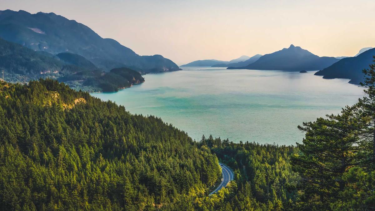 From Despair To Hope: Navigating Through Depression