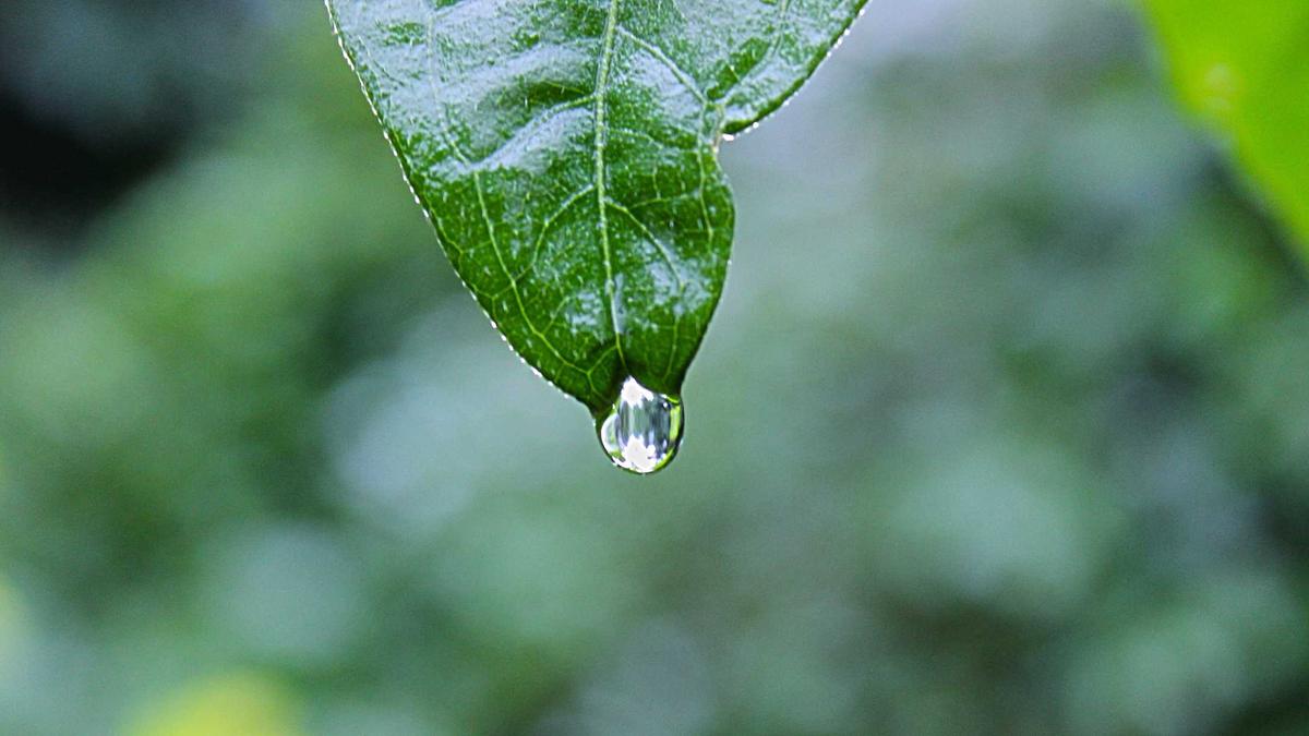 Balancing Work and Life: Tips for Reducing Everyday Stress