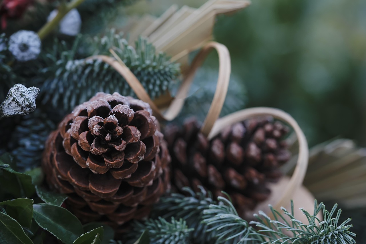 How to celebrate Christmas without changing your healthy lifestyle