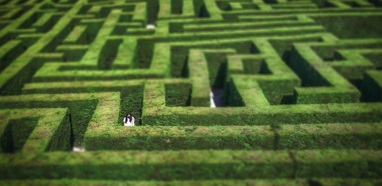 Navigating the Challenges of Pet Ownership