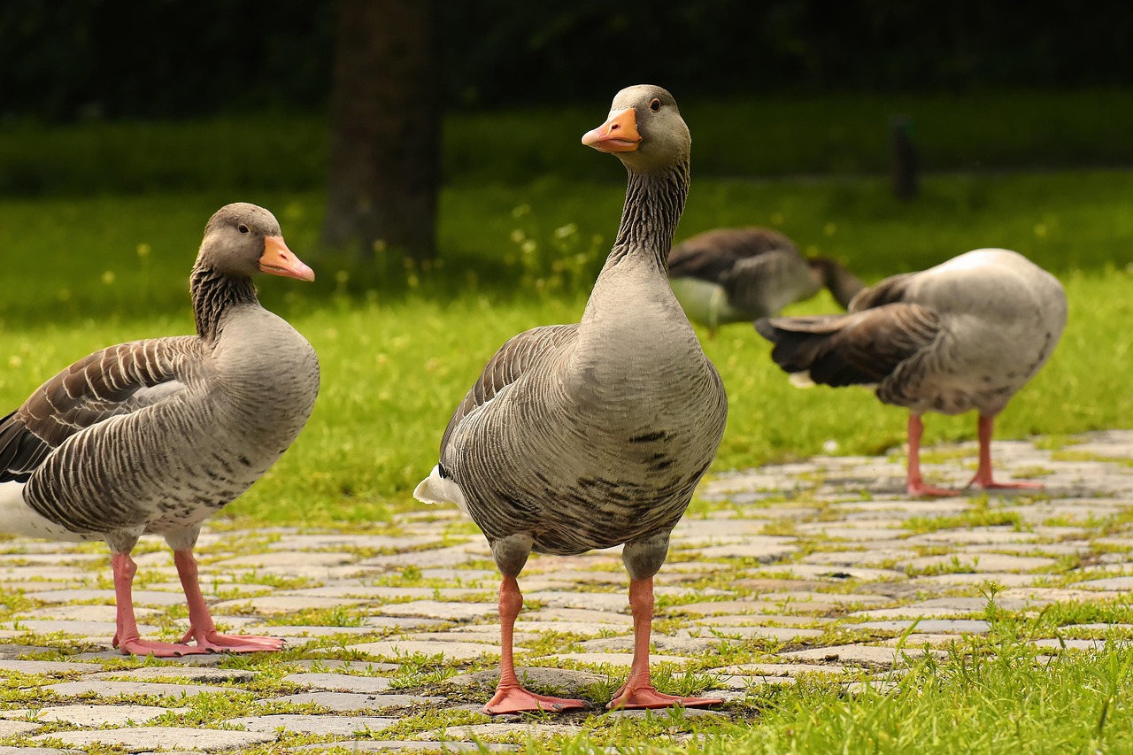 Three Main Summer Roofing Problems