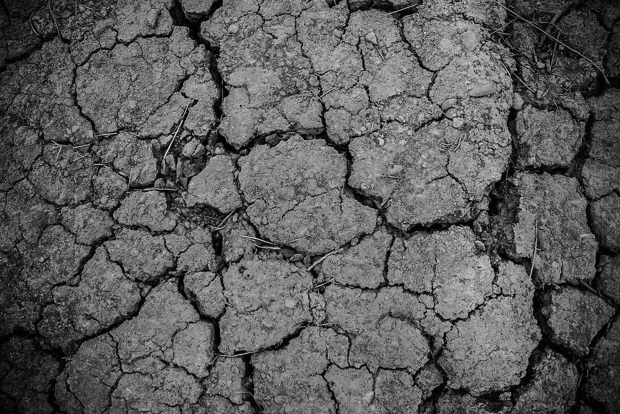 Dealing with Cracks in Your Stucco: Tips and Tricks