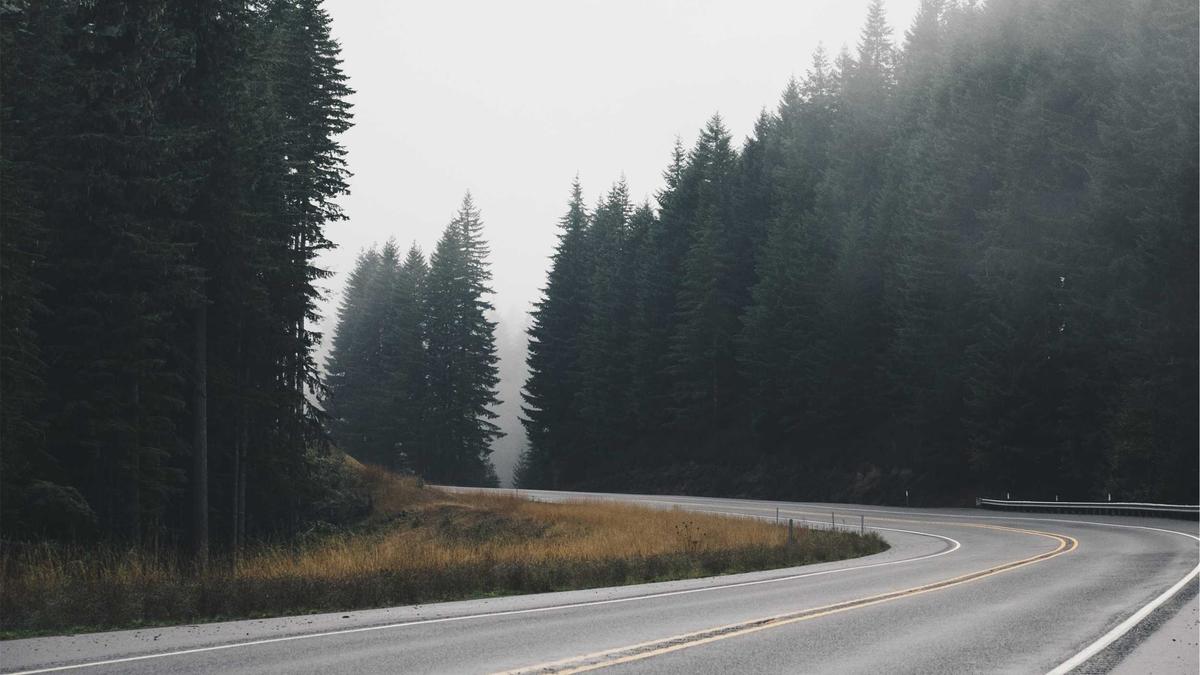 Building Services Camden: Expert Construction and Renovation Services in Camden