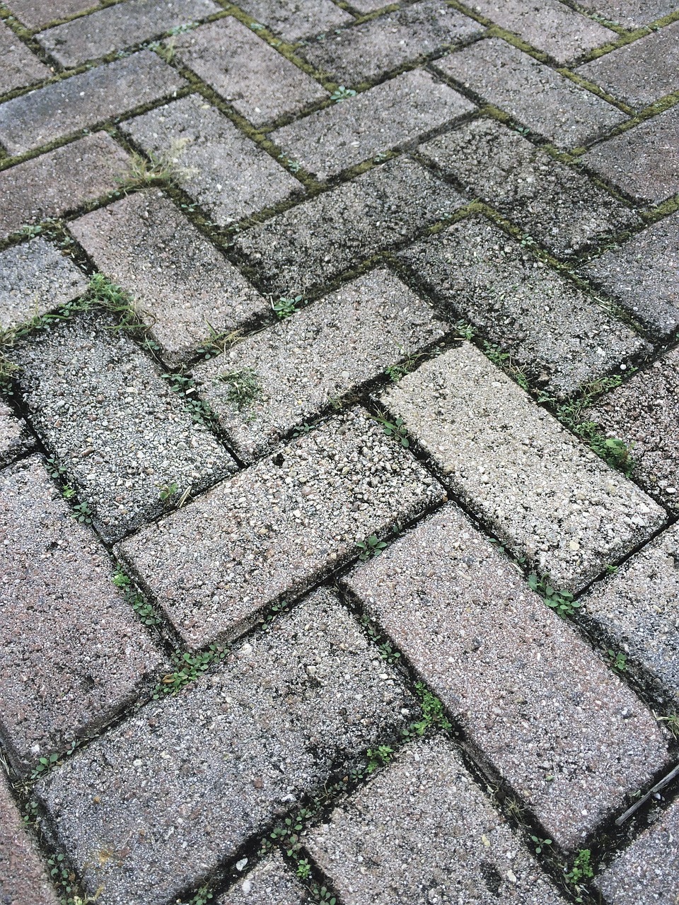 Is Driveway Paver Sealing Worth It? (Guide for Homeowners)