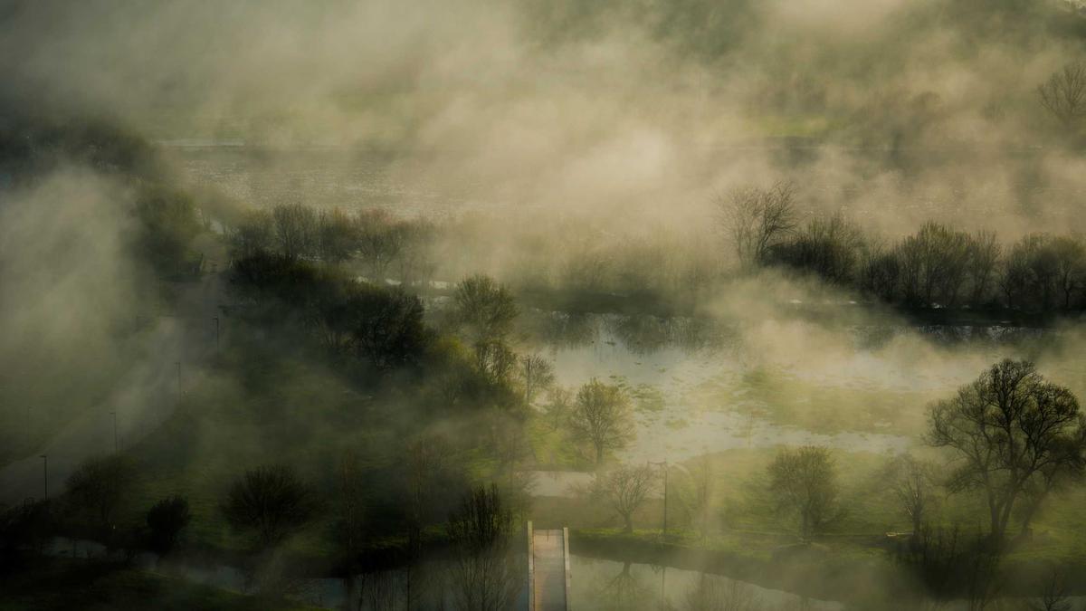 Environmental Consultant: Navigating the Green Frontier