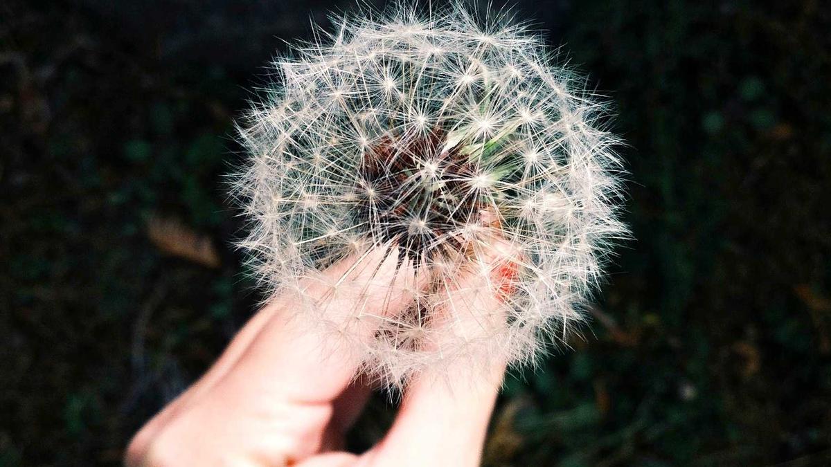 Cultures of the World: Unique Beauty Practices